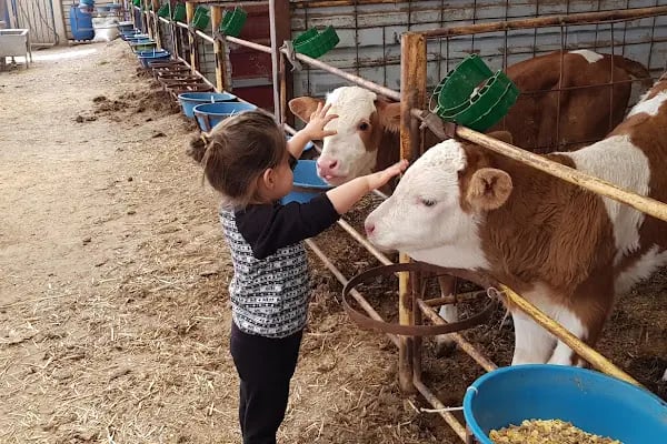 Naturalife Çiftlik Evi, Konaklama, Tire Otel, Selçuk Otel, Torbalı Otel, Oda+Kahvaltı (Lütfen rezervasyon yaptırınız) - Resim 8