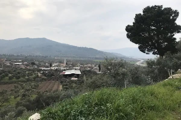Naturalife Çiftlik Evi, Konaklama, Tire Otel, Selçuk Otel, Torbalı Otel, Oda+Kahvaltı (Lütfen rezervasyon yaptırınız) - Resim 9