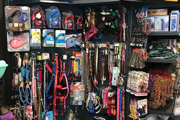 Dilan Pet shop,Akvaryum &amp; Kuş Evi - Resim 17