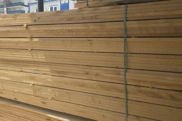 YÜCELİN TİCARET ORMAN ÜRÜNLERİ - Resim 8