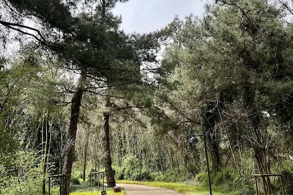 Atatürk Kent Ormanı - Resim 4