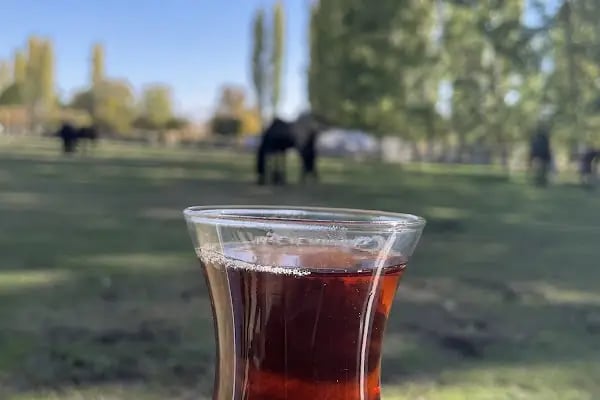 Özsarı At Çiftliği At Binim Merkezi Kahvaltı ve Restaurant - Resim 17