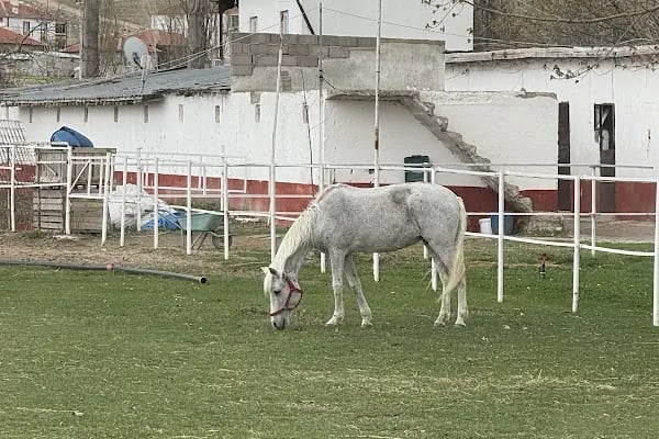 Özsarı At Çiftliği At Binim Merkezi Kahvaltı ve Restaurant - Resim 11