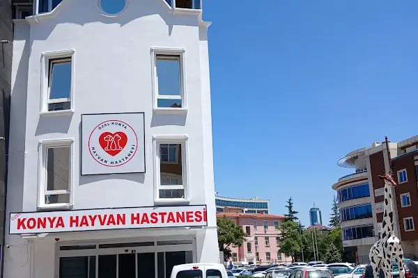 Özel Konya Hayvan Hastanesi - Resim 1