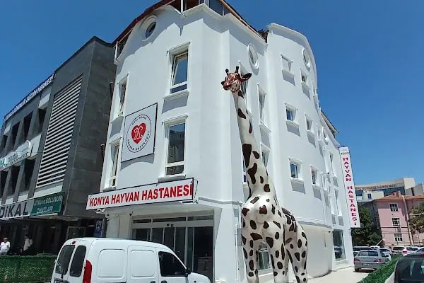 Özel Konya Hayvan Hastanesi - Resim 2
