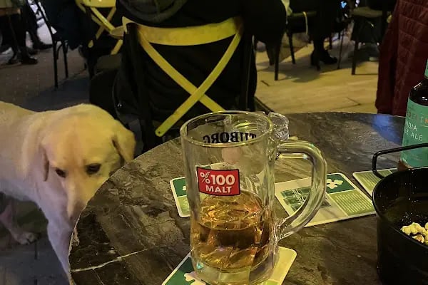 Elefante Pub - Resim 18