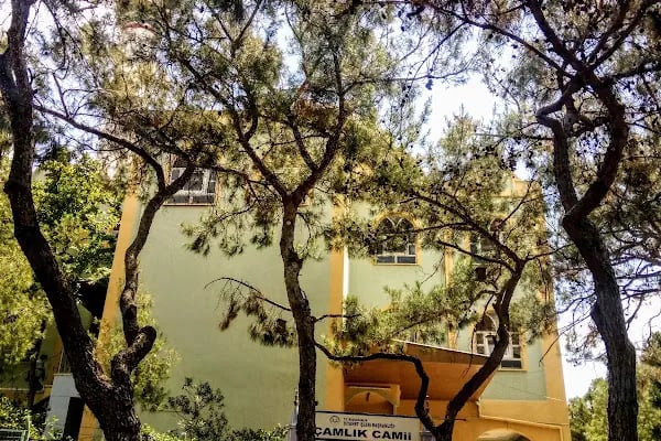 Çamlık Camii - Resim 6