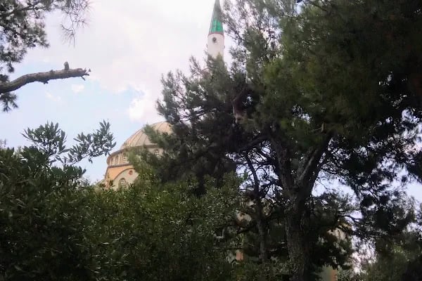 Çamlık Camii - Resim 10