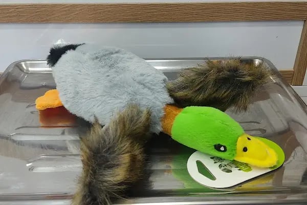 Ribe Petshop Bağcılar - Resim 13