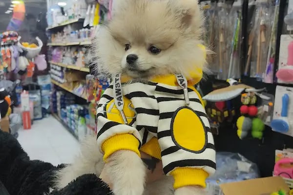 Ribe Petshop Bağcılar - Resim 7