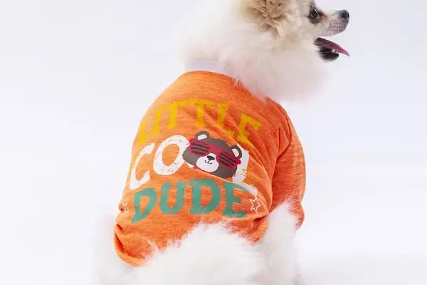 Ribe Petshop Bağcılar - Resim 9