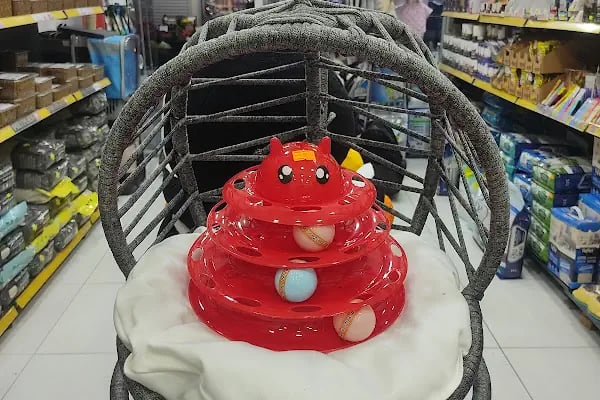 Ribe Petshop Bağcılar - Resim 11