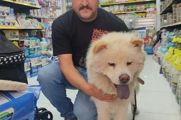 Ribe Petshop Bağcılar - Resim 5