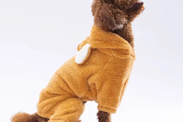 Ribe Petshop Bağcılar - Resim 3
