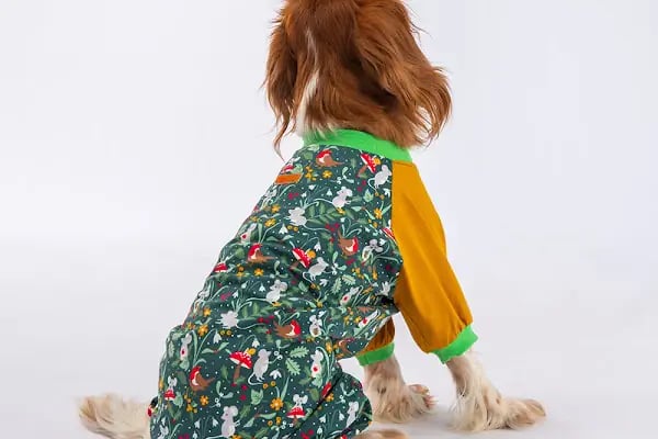 Ribe Petshop Bağcılar - Resim 8