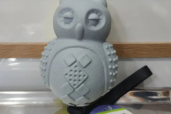 Ribe Petshop Bağcılar - Resim 16