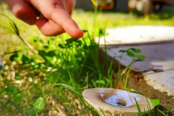 Ant Çocuk Akademi Adana Anaokulu ve Kreş - Resim 1