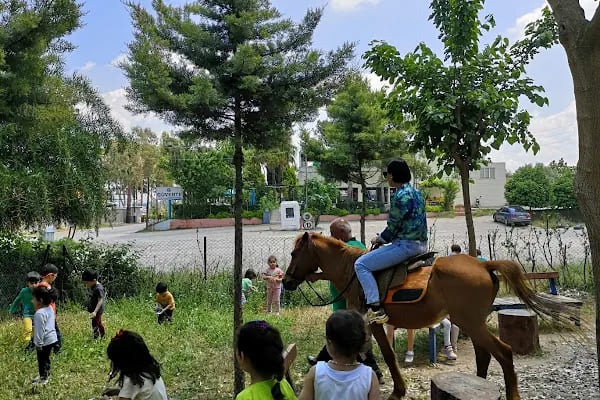 Ant Çocuk Akademi Adana Anaokulu ve Kreş - Resim 2