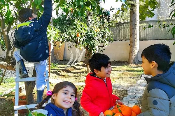 Ant Çocuk Akademi Adana Anaokulu ve Kreş - Resim 9