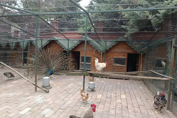 Zeytinburnu Tıbbi Bitkiler Bahçesi - Resim 17