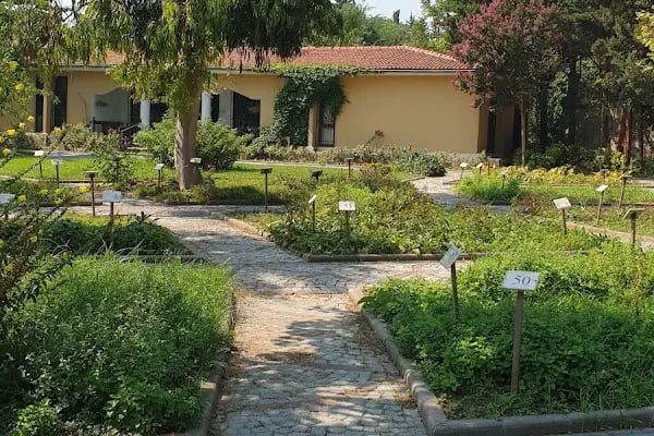Zeytinburnu Tıbbi Bitkiler Bahçesi - Resim 7