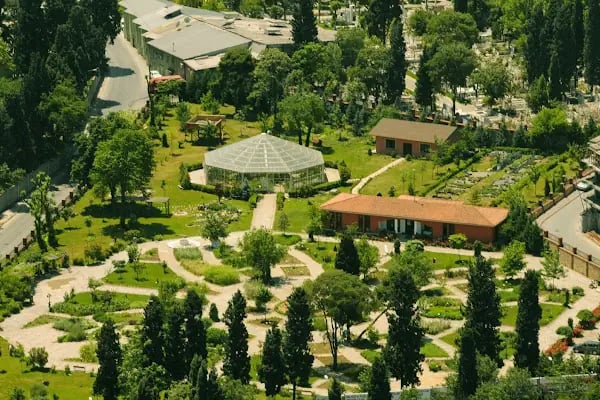 Zeytinburnu Tıbbi Bitkiler Bahçesi - Resim 2