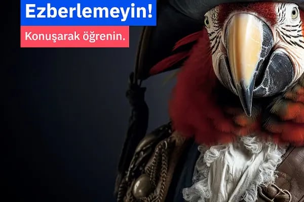 Berlitz Ankara Dil Okulu - Resim 16