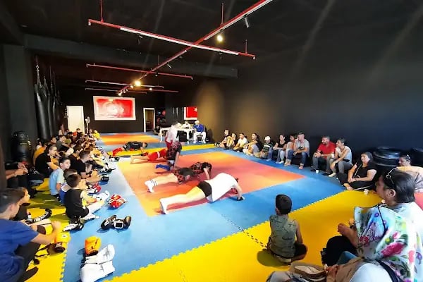 Eryaman MMA Kickboks - Resim 2