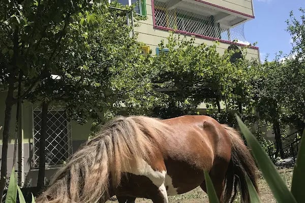 Hadımköy Özel Eğitim ve Rehabilitasyon Merkezi - Resim 5