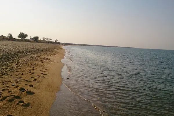 Enez Dalyan Arsa Ve Konut Kooperatifi - Resim 8