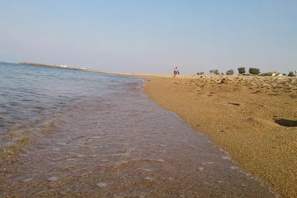 Enez Dalyan Arsa Ve Konut Kooperatifi - Resim 3