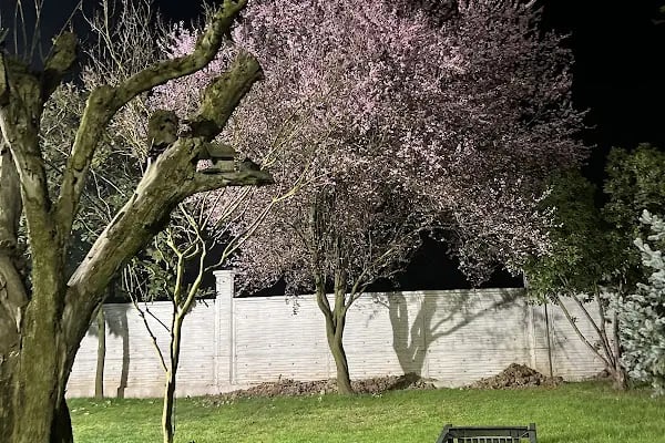 Serender Park Restoran ile Kır Düğün Bahçesi - Resim 8