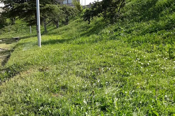 Şht. Pilot Ali Başmakçı Parkı - Resim 8