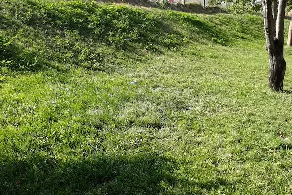 Şht. Pilot Ali Başmakçı Parkı - Resim 14