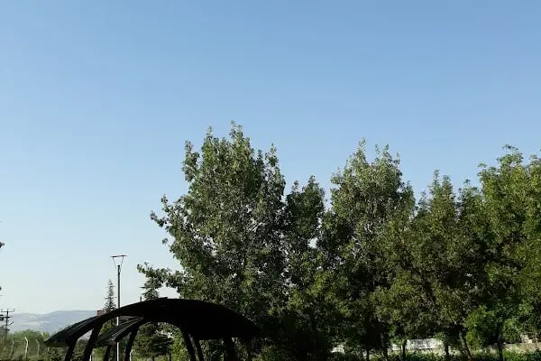 Şht. Pilot Ali Başmakçı Parkı - Resim 9