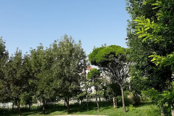 Şht. Pilot Ali Başmakçı Parkı - Resim 18