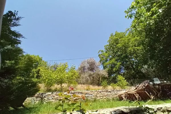 Akman Sofrası - Resim 2