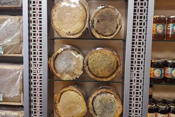 Sivas Bal Evi - Resim 11