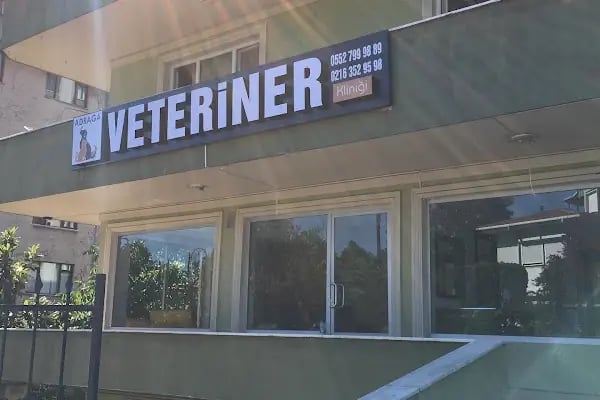 Adraga Veteriner Kliniği - Resim 12