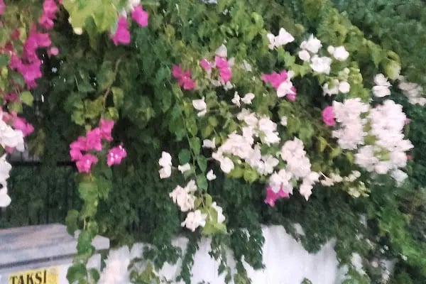 Atasay Sitesi - Resim 2