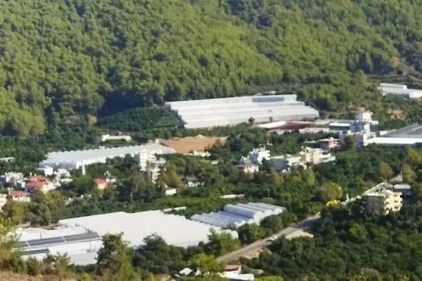 Alanya Alaaddin Keykubat Üniversitesi İktisadi, İdari ve Sosyal Bilimler Fakültesi - Resim 12