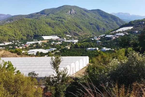 Alanya Alaaddin Keykubat Üniversitesi İktisadi, İdari ve Sosyal Bilimler Fakültesi - Resim 4