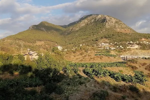 Alanya Alaaddin Keykubat Üniversitesi İktisadi, İdari ve Sosyal Bilimler Fakültesi - Resim 15