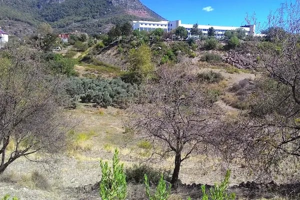 Alanya Alaaddin Keykubat Üniversitesi İktisadi, İdari ve Sosyal Bilimler Fakültesi - Resim 6