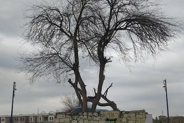 Sahabe Mir Seyyaf Türbesi - Resim 3