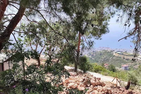 Zipline Park ALANYA - Resim 9