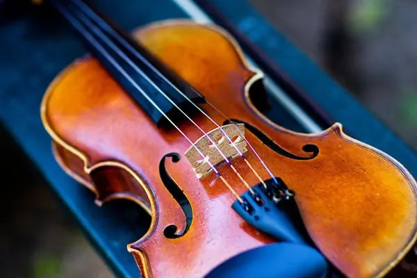 T.C. MEB Özel Antalya Lotus Sanat ve Müzik Kursu - Resim 7