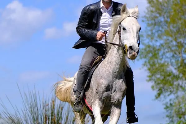 Bilginer atlı safari - Resim 20