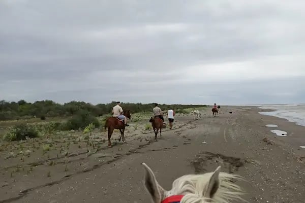 Bilginer atlı safari - Resim 4