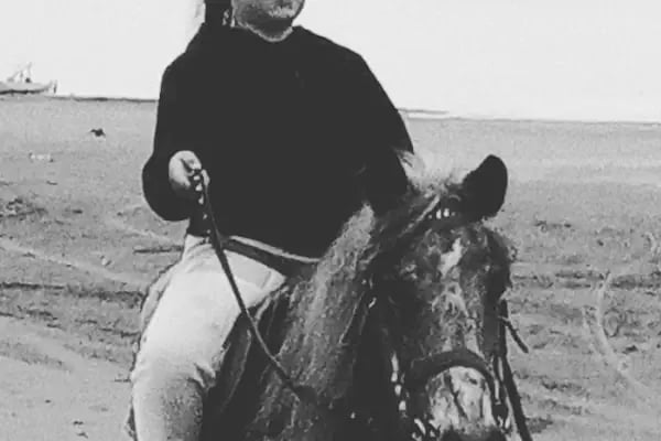 Bilginer atlı safari - Resim 3